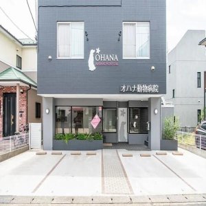 オハナ動物病院