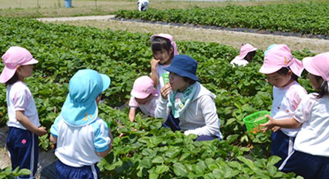 社会福祉法人報恩感謝会  幼保連携型認定こども園  ＜竹の台保育園＞