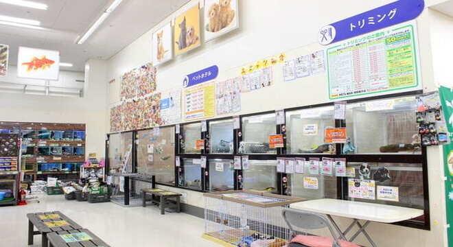 ＰＥＴ’Ｓ　ＭＡＸ湘南藤沢店