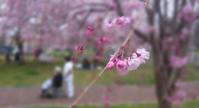 株式会社トラスト