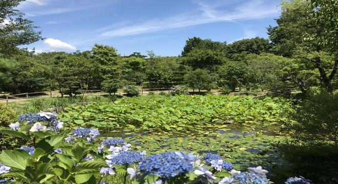 新星造園土木株式会社