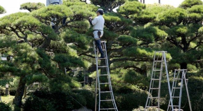 株式会社 ヨネヤ