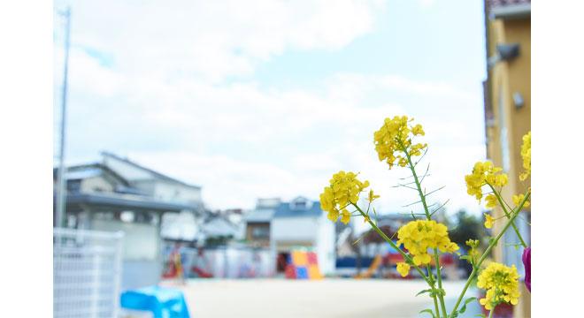 社会福祉法人 杏林福祉会