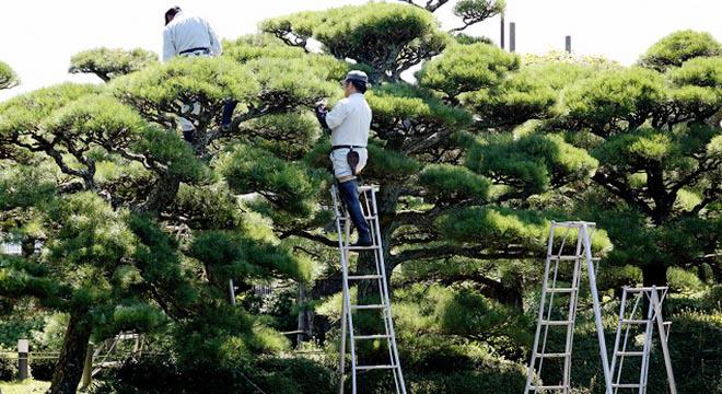 植博 北川造園株式会社