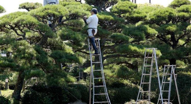  株式会社　芝造園建設