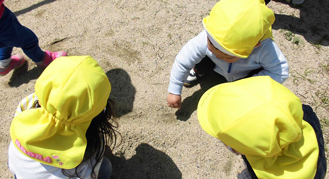 一般社団法人ミミキッズ　風の子保育園