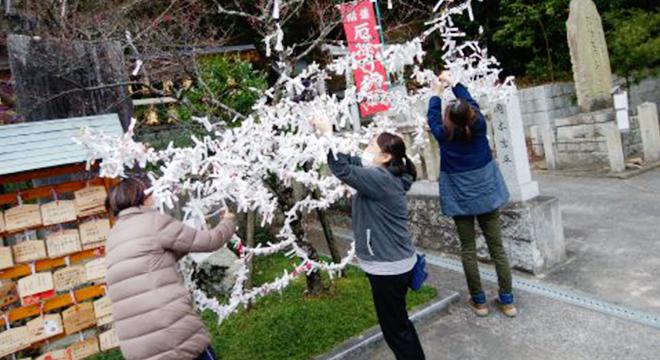 社会福祉法人嘉舟会